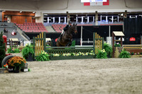 01007 - Mara - 2026 Royal West - Tuesday October 20th