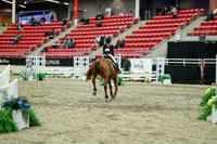 01402 - Mara - 2026 Royal West - Saturday October 2th