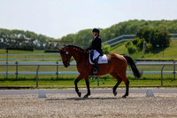 2025 - Dressage Festival - Saturday July 5th - 04335