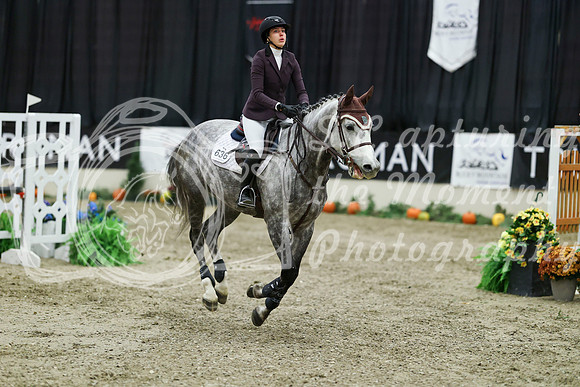 03691 - Mara - 2026 Royal West - Thursday October 22nd