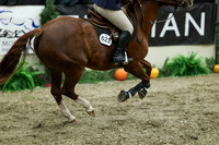04025 - Mara - 2026 Royal West - Friday October 16th