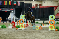 02233 - Mara - 2026 Royal West - Thursday October 15th