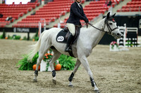 04077 - Mara - 2026 Royal West - Friday October 16th