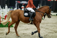 07803 - Mara - 2026 Royal West - Thursday October 22nd