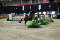 03724 - Mara - 2026 Royal West - Tuesday October 20th