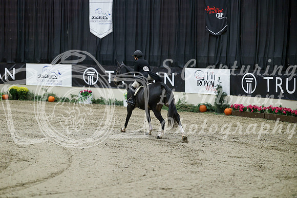 03500 - Mara - 2026 Royal West - Tuesday October 20th
