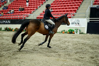 04501 - Mara - 2026 Royal West - Wednesday October 21st