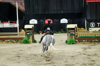 06200 - Mara - 2026 Royal West - Tuesday October 20th