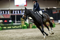 01252 - Mara - 2026 Royal West - Tuesday October 20th