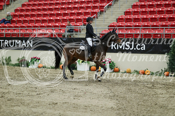 03024 - Mara - 2026 Royal West - Thursday October 22nd