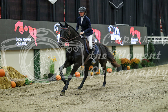 00205 - Mara - 2026 Royal West - Saturday October 2th