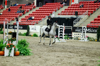03258 - Mara - 2026 Royal West - Friday October 16th