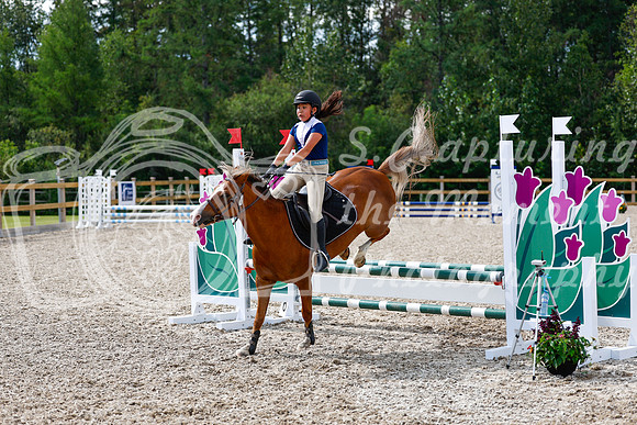 2025 - Haylee - Picco Horse Show - Thursday July 24th 01325
