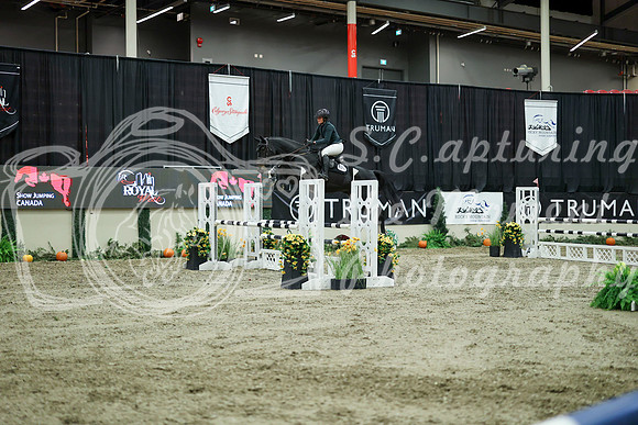 04591 - Mara - 2026 Royal West - Wednesday October 21st