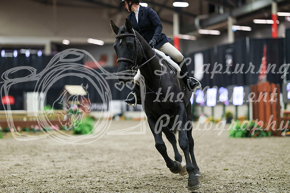 01419 - Mara - 2026 Royal West - Tuesday October 20th