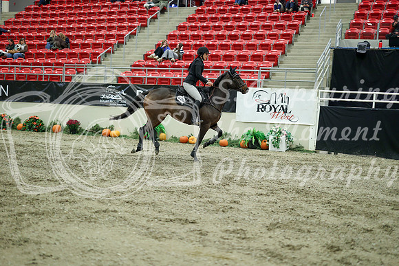04427 - Mara - 2026 Royal West - Wednesday October 21st