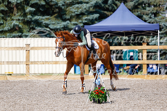 2025 - Haylee - Picco Horse Show - Thursday July 24th 01270