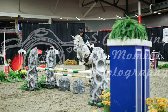 03131 - Mara - 2026 Royal West - Wednesday October 21st