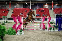 08210 - Mara - 2026 Royal West - Wednesday October 21st