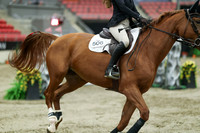 05707 - Mara - 2026 Royal West - Sunday October 18th