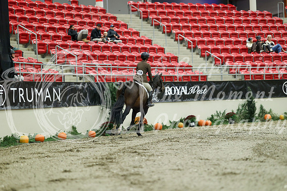 01248 - Mara - 2026 Royal West - Saturday October 17th