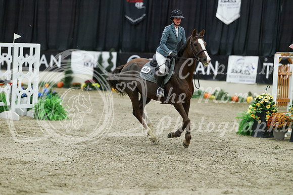 02462 - Mara - 2026 Royal West - Thursday October 22nd