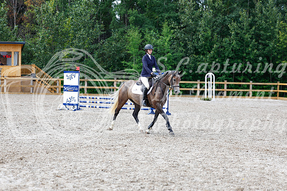 2025 - Haylee - Picco Horse Show - Saturday July 26th 03433