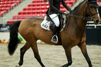 01059 - Mara - 2026 Royal West - Wednesday October 21st