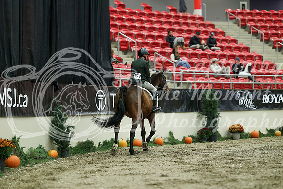 01537 - Mara - 2026 Royal West - Saturday October 17th