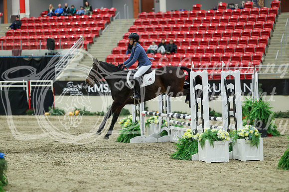 00793 - Mara - 2026 Royal West - Saturday October 2th