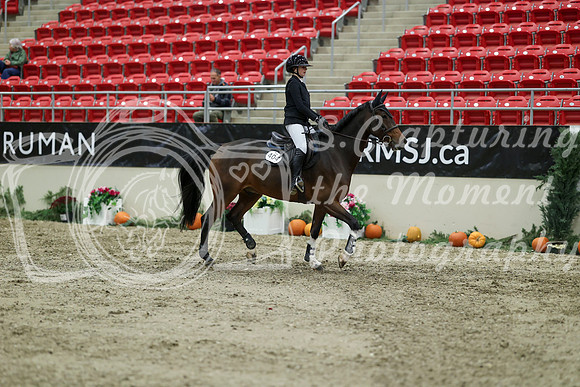 03025 - Mara - 2026 Royal West - Thursday October 22nd