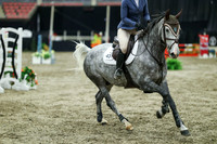 07049 - Mara - 2026 Royal West - Thursday October 15th