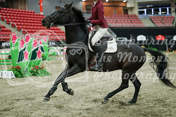 03867 - Mara - 2026 Royal West - Wednesday October 21st