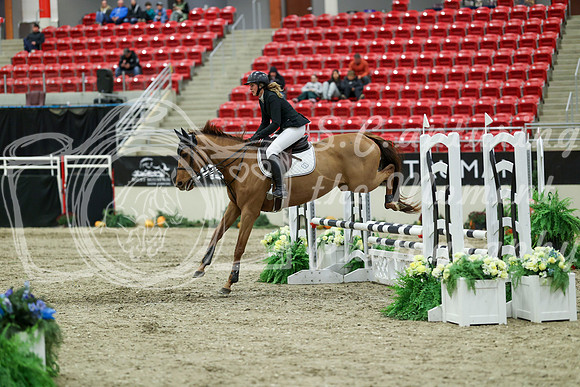 00548 - Mara - 2026 Royal West - Saturday October 2th