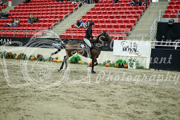 04426 - Mara - 2026 Royal West - Wednesday October 21st