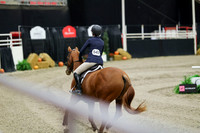 01296 - Mara - 2026 Royal West - Friday October 23rd