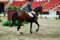 01159 - Mara - 2026 Royal West - Friday October 23rd