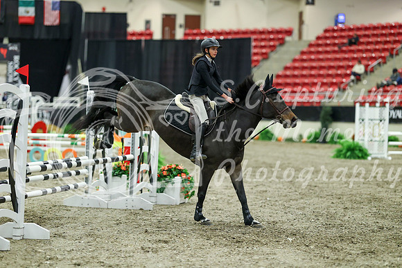 01094 - Mara - 2026 Royal West - Thursday October 15th