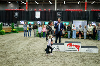 06484 - Mara - 2026 Royal West - Saturday October 17th