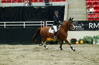 00737 - Mara - 2026 Royal West - Wednesday October 21st