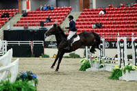 00361 - Mara - 2026 Royal West - Saturday October 2th