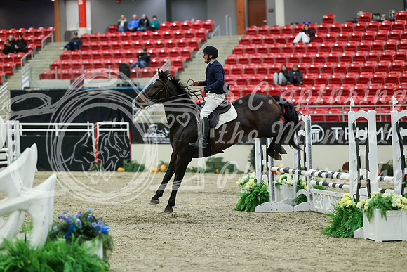 00361 - Mara - 2026 Royal West - Saturday October 2th