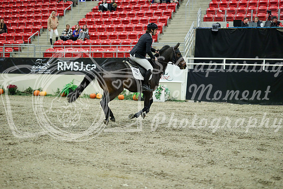 03690 - Mara - 2026 Royal West - Wednesday October 21st