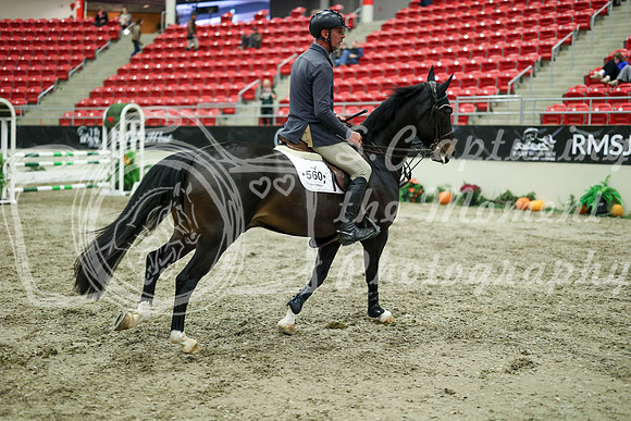 05195 - Mara - 2026 Royal West - Wednesday October 21st