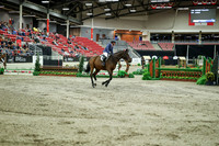 07098 - Mara - 2026 Royal West - Saturday October 17th