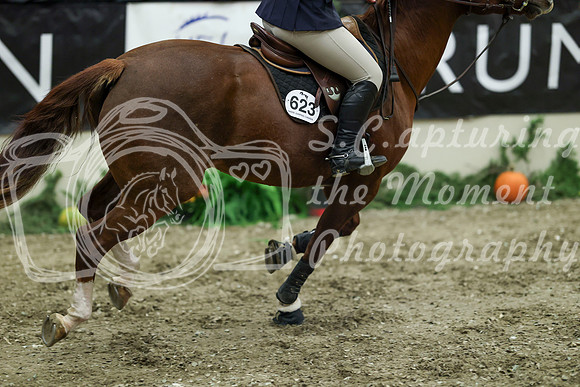 04022 - Mara - 2026 Royal West - Friday October 16th