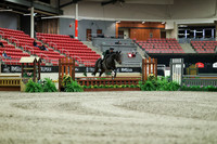 01181 - Mara - 2026 Royal West - Saturday October 17th