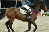 04723 - Mara - 2026 Royal West - Sunday October 18th