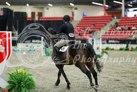 02700 - Mara - 2026 Royal West - Friday October 16th