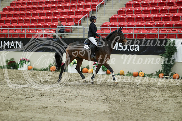 03027 - Mara - 2026 Royal West - Thursday October 22nd
